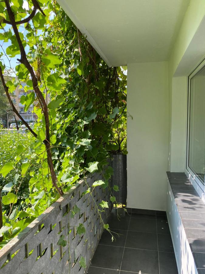 Ostrowiec Świętokrzyski Apartament Blisko Wszedzie מראה חיצוני תמונה
